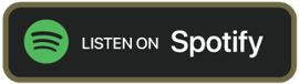 Priorities & Lifestyle Podcast Schulz Wealth Episode 84 Spotify