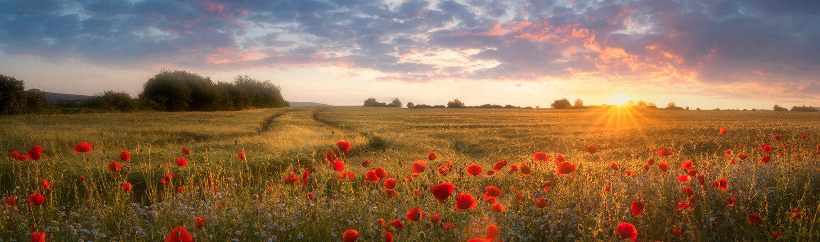 How can we avoid being emotionally influenced by the media?