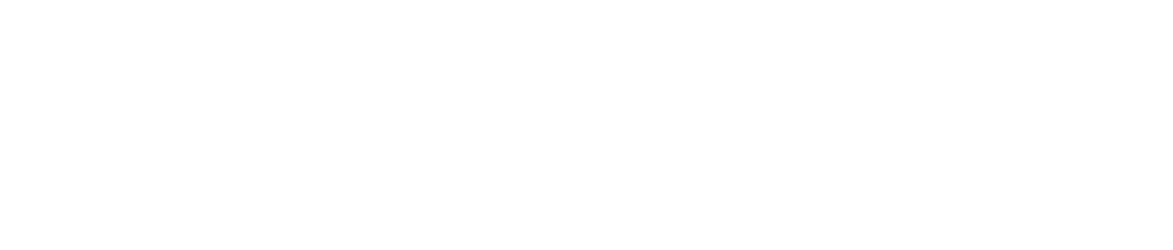 schulz-wealth-logo-white